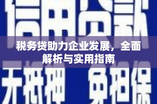 六枝税务贷助力企业发展，全面解析与实用指南