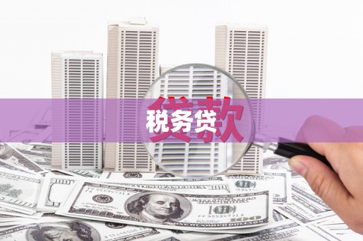 六枝税务贷