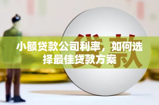 六枝小额贷款公司利率，如何选择最佳贷款方案