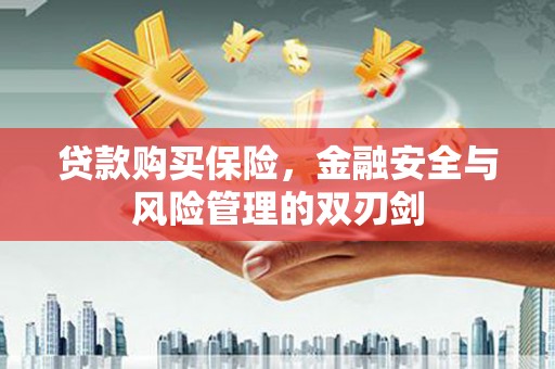 六枝贷款购买保险，金融安全与风险管理的双刃剑