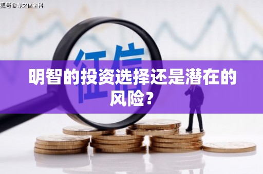 六枝明智的投资选择还是潜在的风险？