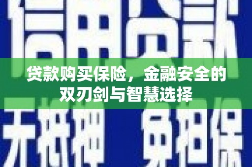 六枝贷款购买保险，金融安全的双刃剑与智慧选择