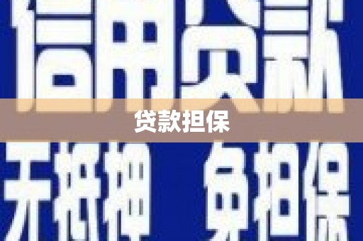 六枝贷款担保