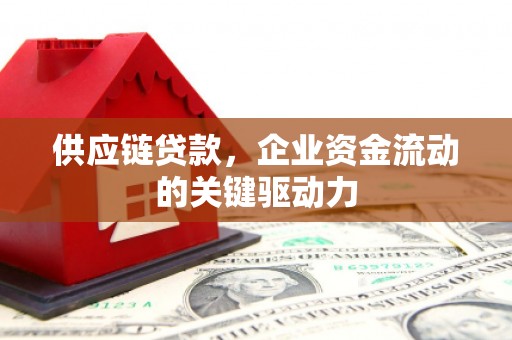 六枝供应链贷款，企业资金流动的关键驱动力