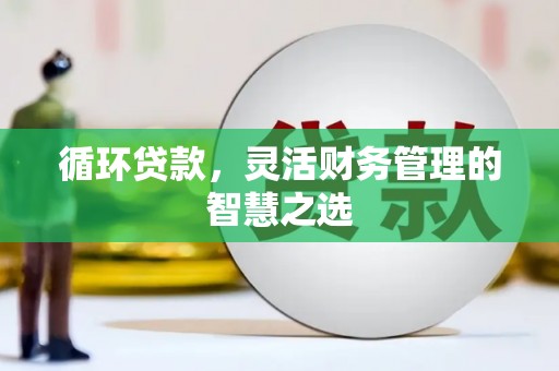 六枝循环贷款，灵活财务管理的智慧之选