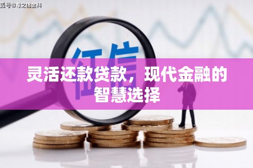 六枝灵活还款贷款，现代金融的智慧选择