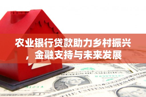 六枝农业银行贷款助力乡村振兴，金融支持与未来发展