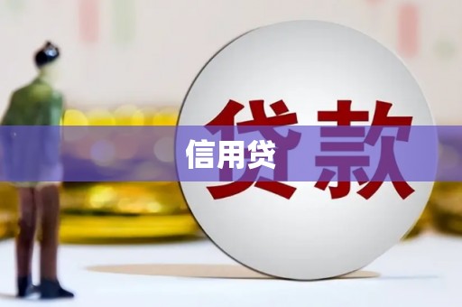 六枝信用贷