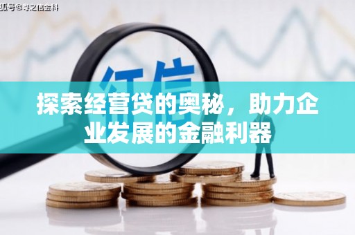 六枝探索经营贷的奥秘，助力企业发展的金融利器