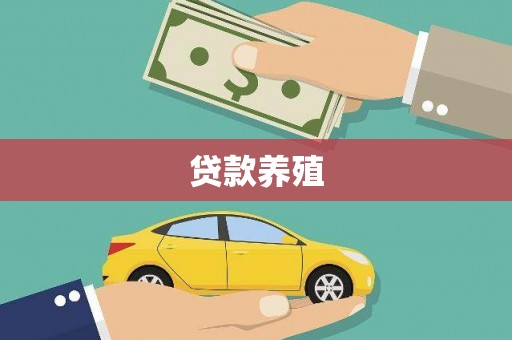 六枝贷款养殖