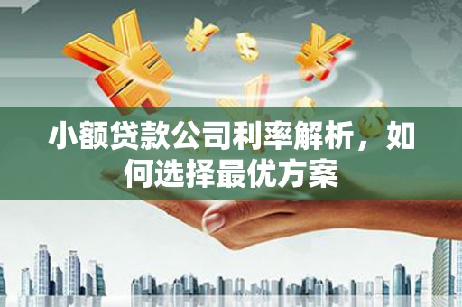 六枝小额贷款公司利率解析，如何选择最优方案