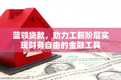 六枝蓝领贷款，助力工薪阶层实现财务自由的金融工具