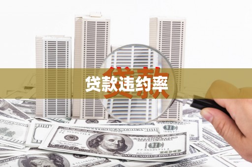 六枝贷款违约率