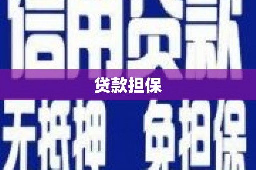 六枝贷款担保