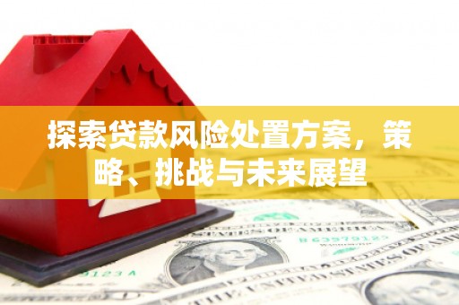 六枝探索贷款风险处置方案，策略、挑战与未来展望