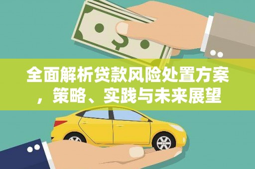 六枝全面解析贷款风险处置方案，策略、实践与未来展望
