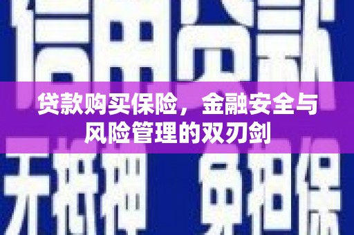 六枝贷款购买保险，金融安全与风险管理的双刃剑
