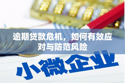 六枝逾期贷款危机，如何有效应对与防范风险