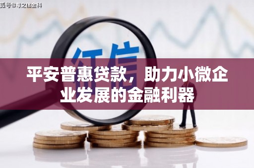 六枝平安普惠贷款，助力小微企业发展的金融利器