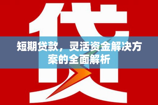 六枝短期贷款，灵活资金解决方案的全面解析