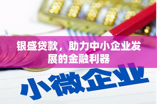 六枝银盛贷款，助力中小企业发展的金融利器