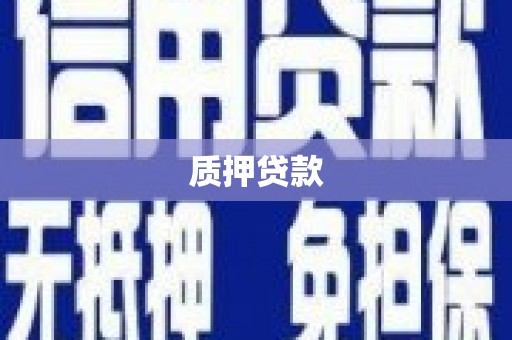 六枝质押贷款