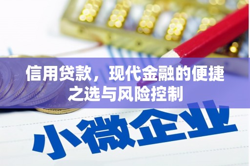 六枝信用贷款，现代金融的便捷之选与风险控制