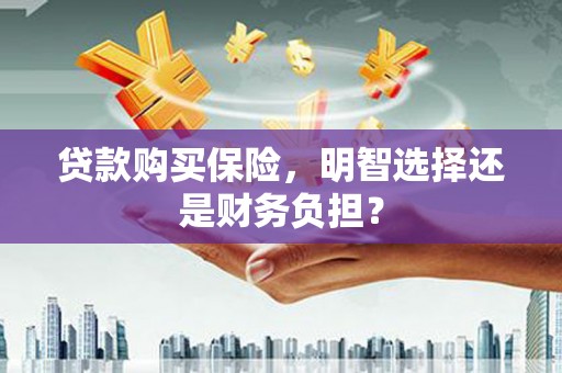 六枝贷款购买保险，明智选择还是财务负担？