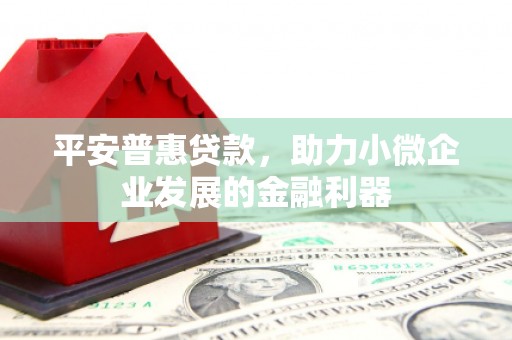 六枝平安普惠贷款，助力小微企业发展的金融利器