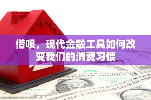 六枝借呗，现代金融工具如何改变我们的消费习惯