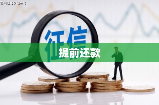六枝提前还款
