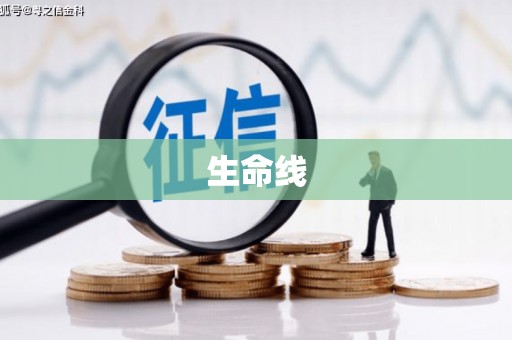 六枝生命线