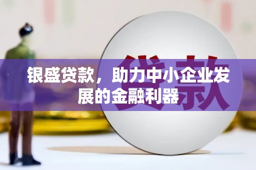 六枝银盛贷款，助力中小企业发展的金融利器