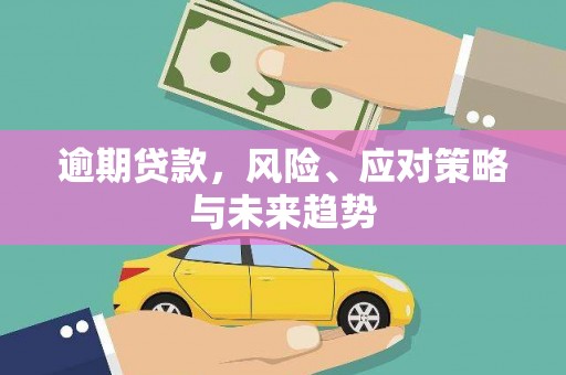 六枝逾期贷款，风险、应对策略与未来趋势