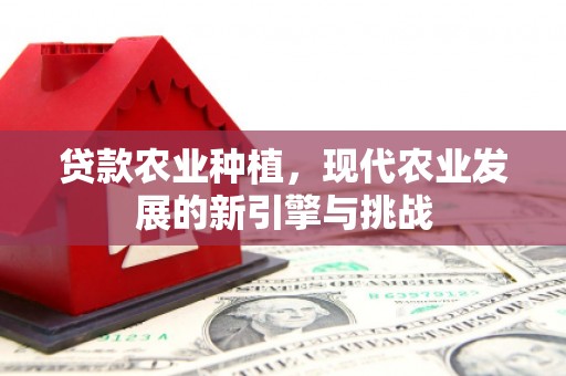 六枝贷款农业种植，现代农业发展的新引擎与挑战