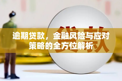 六枝逾期贷款，金融风险与应对策略的全方位解析