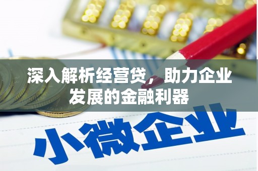 六枝深入解析经营贷，助力企业发展的金融利器