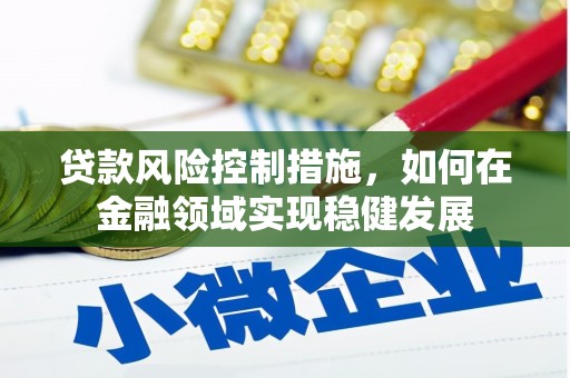 六枝贷款风险控制措施，如何在金融领域实现稳健发展