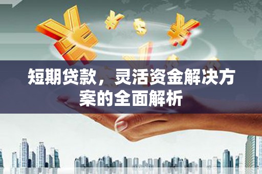 六枝短期贷款，灵活资金解决方案的全面解析