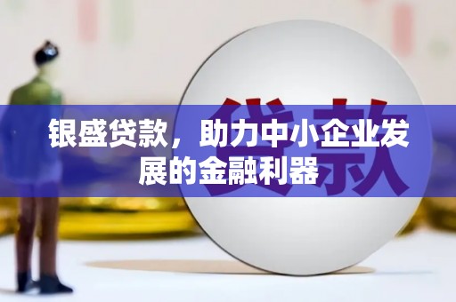 六枝银盛贷款，助力中小企业发展的金融利器