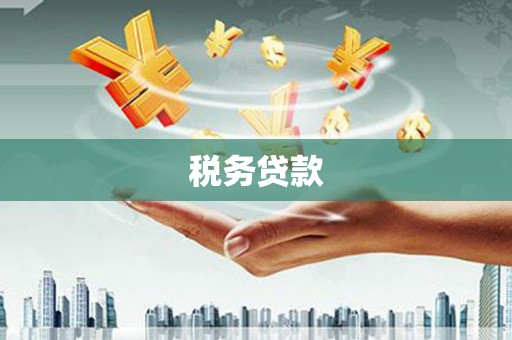 六枝税务贷款