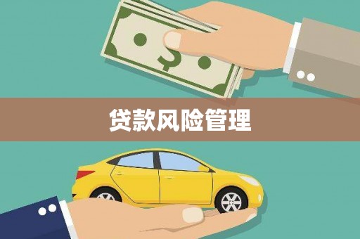 六枝贷款风险管理
