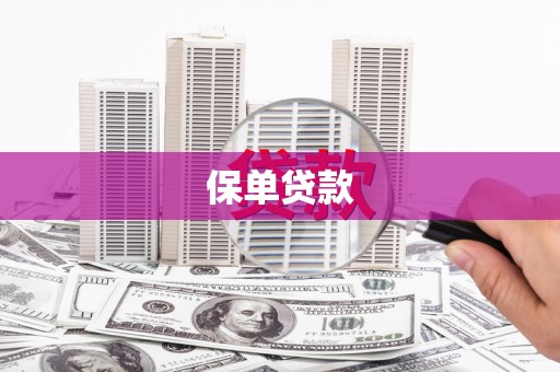 六枝保单贷款