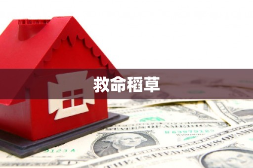 六枝救命稻草