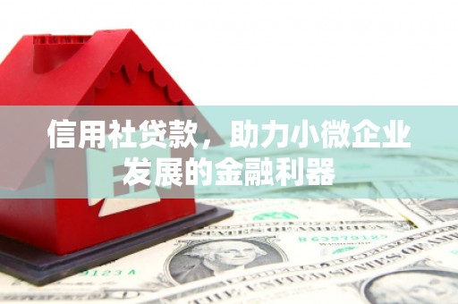 六枝信用社贷款，助力小微企业发展的金融利器