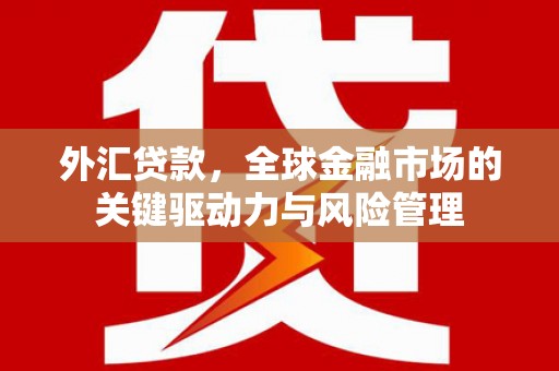 六枝外汇贷款，全球金融市场的关键驱动力与风险管理