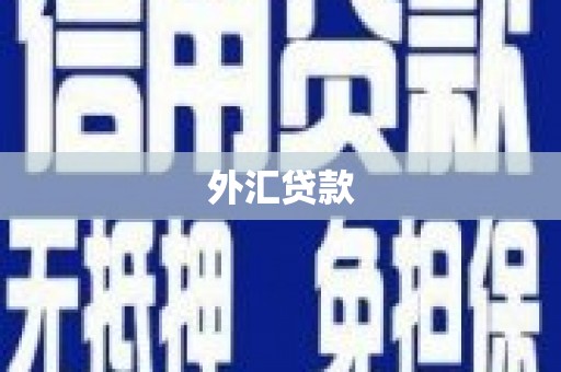 六枝外汇贷款