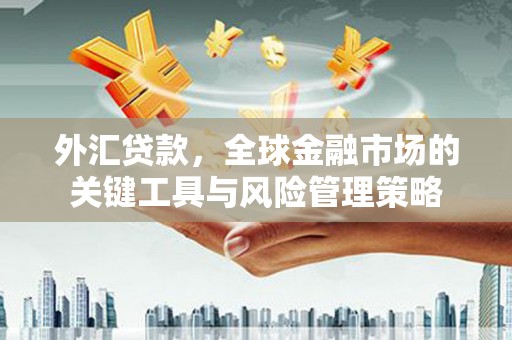 六枝外汇贷款，全球金融市场的关键工具与风险管理策略