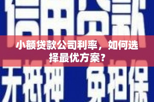 六枝小额贷款公司利率，如何选择最优方案？