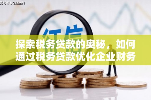 六枝探索税务贷款的奥秘，如何通过税务贷款优化企业财务